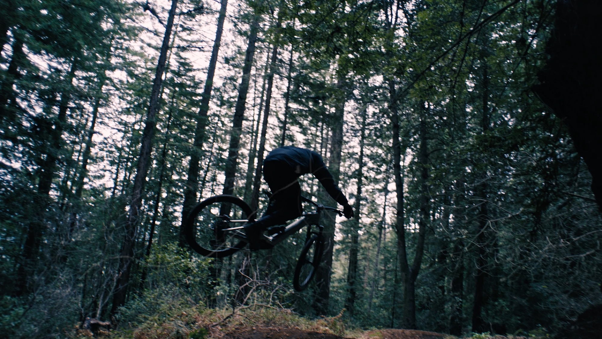 Current Web Hero rider in motion