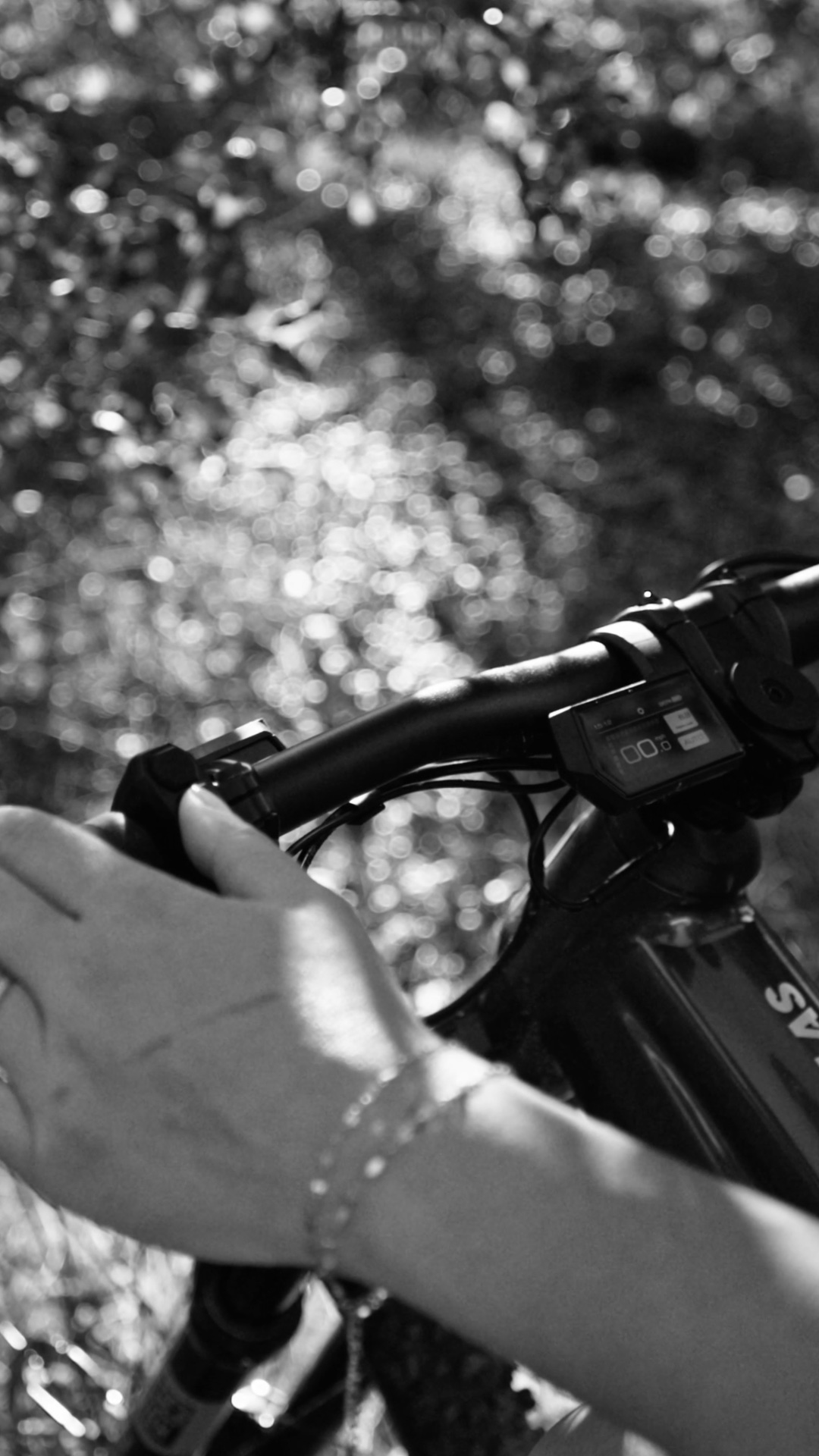 Second review still from the Ramblas ADV social teaser
